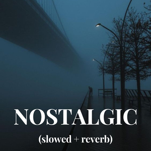 538prom搬运工免费版亮点
