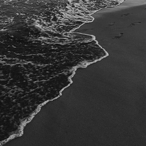 538prom搬运工免费版亮点
