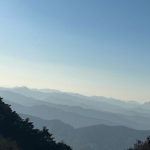 538prom搬运工免费版亮点
