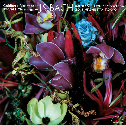 538prom搬运工免费版亮点
